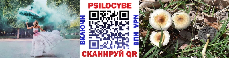 Купить  Бавлы  Галлюциногенные грибы Magic Shrooms 